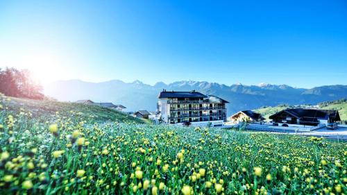 Alps Lodge