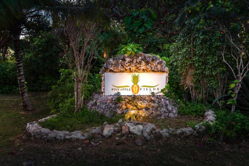 Pineapple Fields - Best Hotels in Bahamas