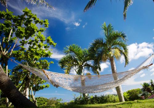 Coco Garden Resort Okinawa - Best Business Hotels in Japan
