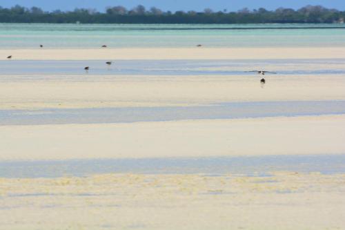 Emerald Bay Resort - Best Hotels Pemba Island