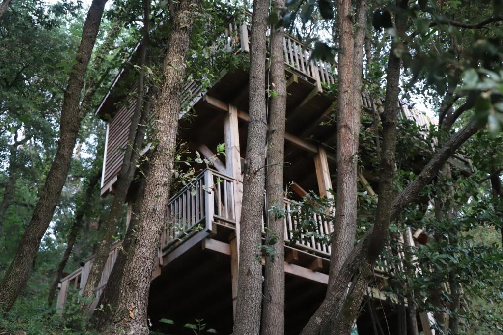 Orion Treehouses - Best Family Hotels in the South of France