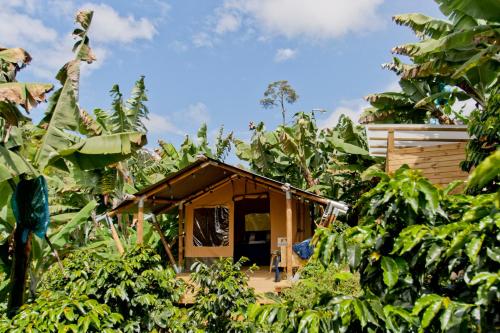 Glamping Jardín