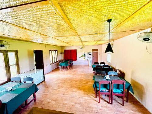 Hotel Tree Tops- A Serene Friendly Hotel in Sauraha