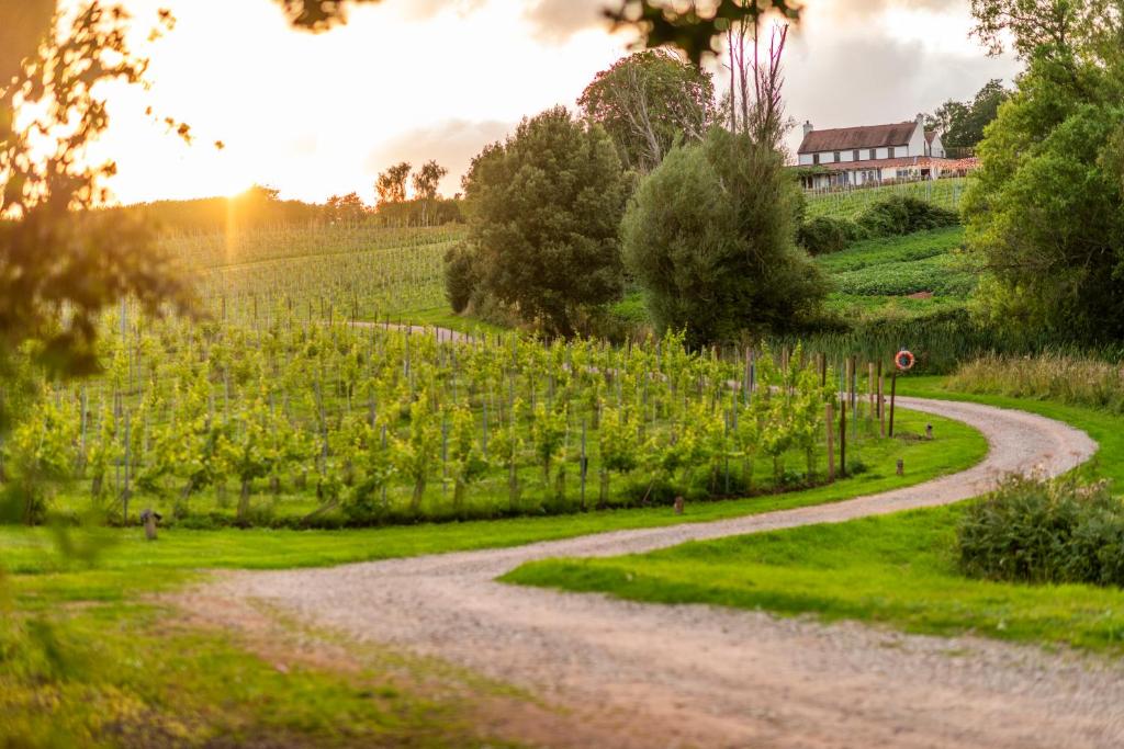 Three Choirs Vineyards - Best Hotels in Gloucestershire