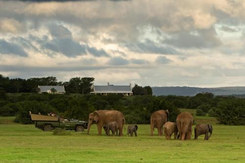 RiverBend Lodge - Best Hotels in Addo
