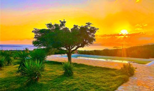 Paros Afrodite Luxury Villas