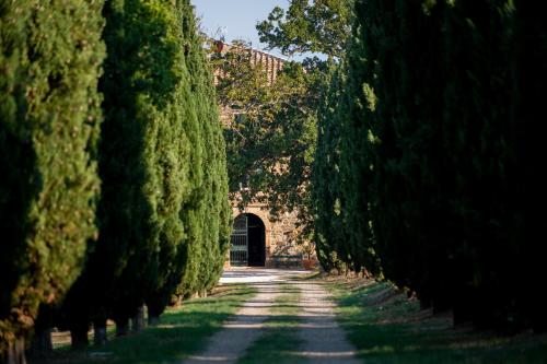 Villa Le Prata - Farm House & Winery - Adults Only