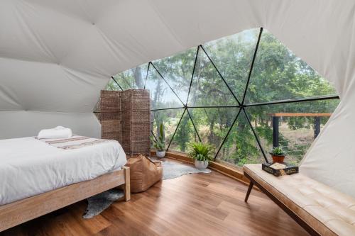 Lantana Dome by Onera