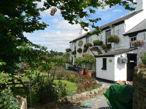 The Elephants Nest Inn - Best Hotels in Devon