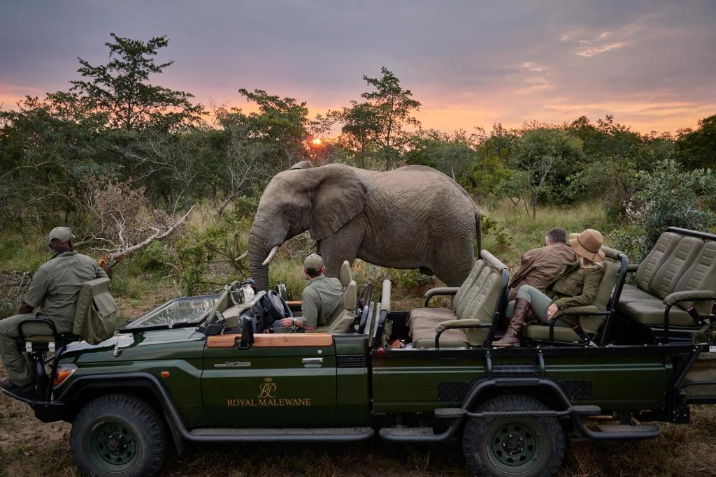 Royal Malewane - Best Hotels near Kruger National Park