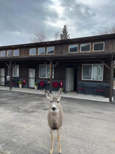 Corral Villas Yellowstone - Best Hotels in Yellowstone National Park, WY