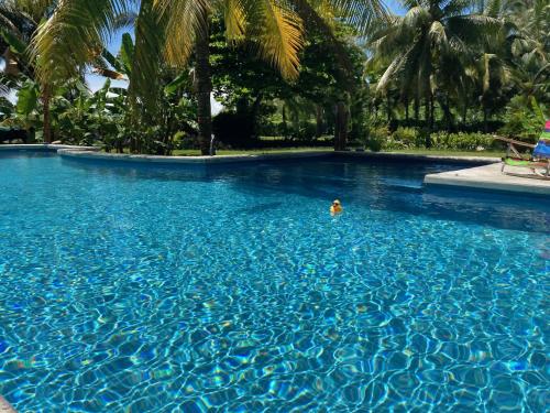Sand Dollar Beach Bed & Breakfast - Best Pool Hotels in Panama