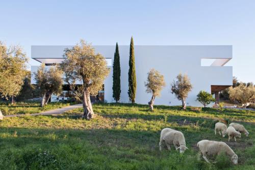 Villa Extramuros - Best Hotels in Alentejo