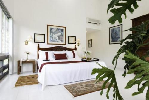 Hotel Misión Palenque - Best Pool Hotels in Southern Mexico