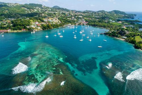 Blue Lagoon Hotel and Marina Ltd - Best Hotels in Mustique