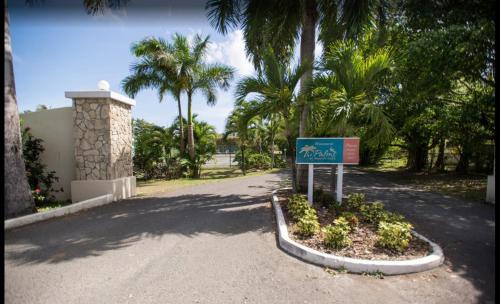 Pristine Resort Beach - Best Hotels in U.S. Virgin Islands