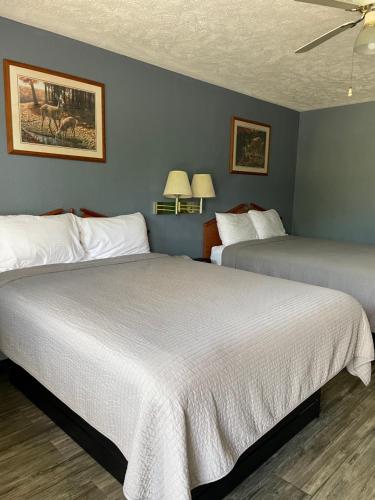 hotels with suites in Camden