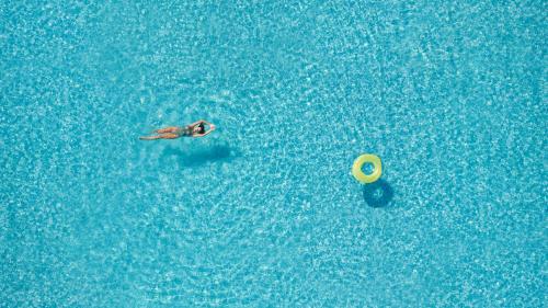 Little Bird Lesvos - Best Hotels in Lesbos