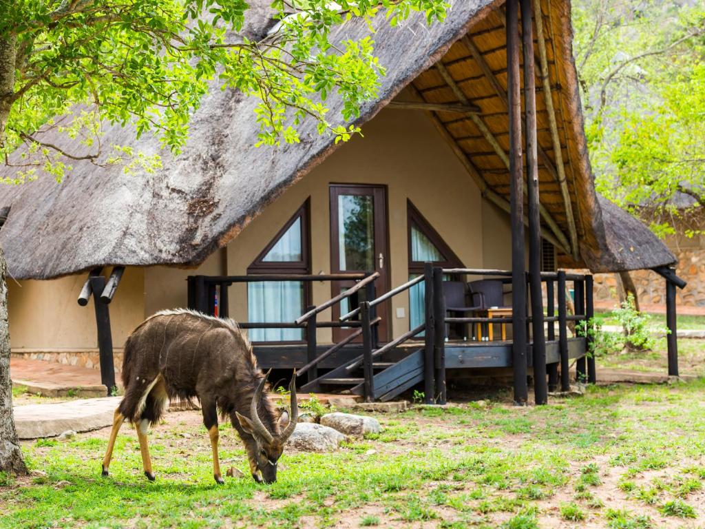 aha Bongani Mountain Lodge - Best Hotels in Mpumalanga