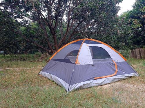 Camping at Khajuraho Permaculture Farm - Best Hotels in Madhya Pradesh