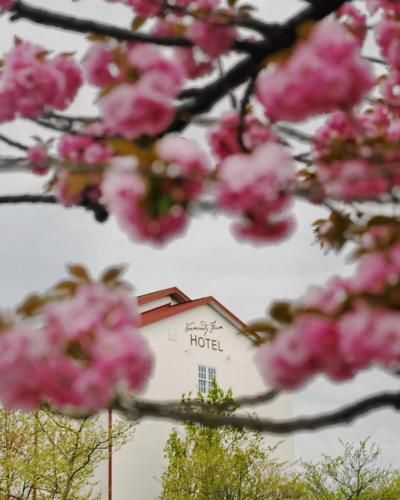 Normandy Farm Hotel & Conference Center - Best Hotels in Pennsylvania