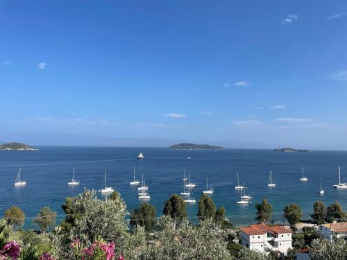 Villa Athena Skiathos