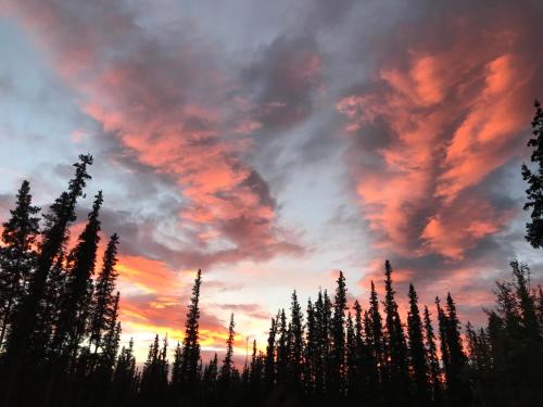 A Hyde Away Inn B&B - Best Pet-Friendly Hotels in Alaska