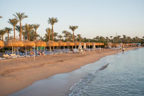 Maritim Jolie Ville Resort & Casino - Best Family Hotels in Egypt