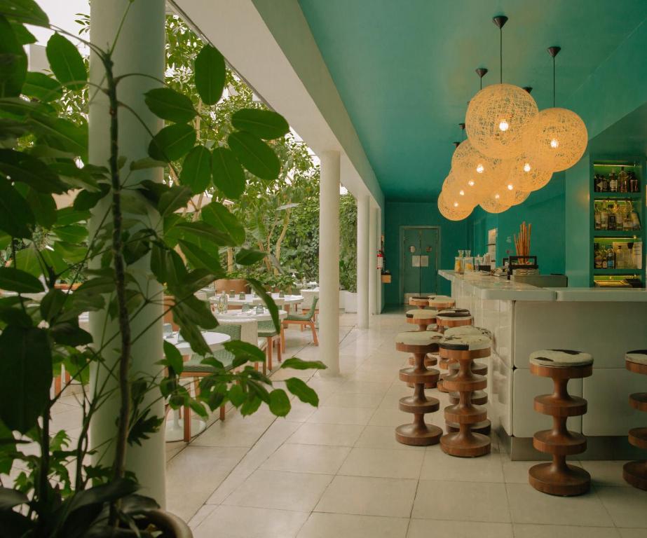 Condesa df, Mexico City, a Member of Design Hotels - Best Hotels in Mexico City
