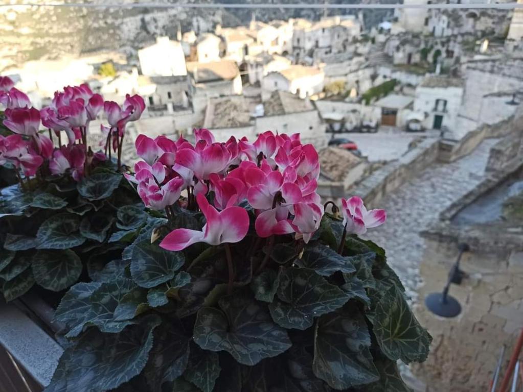Slow Living B&B - Best Hotels in Matera
