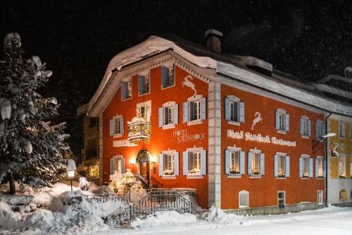 Hotel Steinbock Pontresina - Best Hotels in Grisons