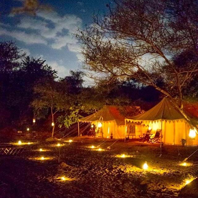 Dera Amer Wilderness Camp - Best Hotels in Jaipur