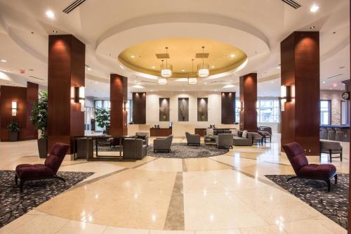 Raleigh Marriott City Center - Best Pet-Friendly Hotels in Raleigh, NC