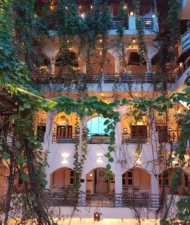 Inn Seventh Heaven - Best Hotels in Pushkar