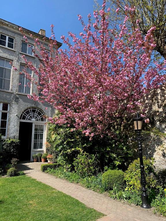 Hotel Patritius - Best Hotels in Bruges