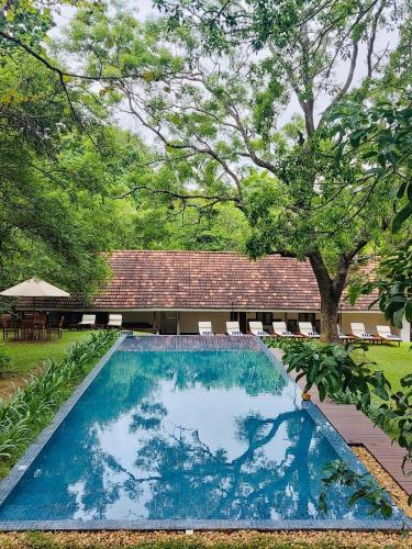 EKHO Sigiriya - 700 meters to Sigiriya Rock - Affordable Hotels in Sri Lanka