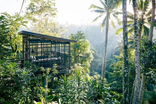Hoshinoya Bali - Best Hotels in Ubud