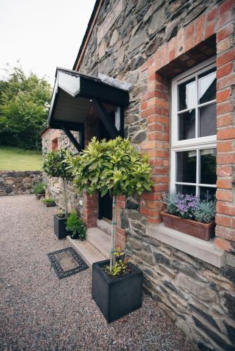 Bay Tree Cottage - Best Hotels in Hillsborough