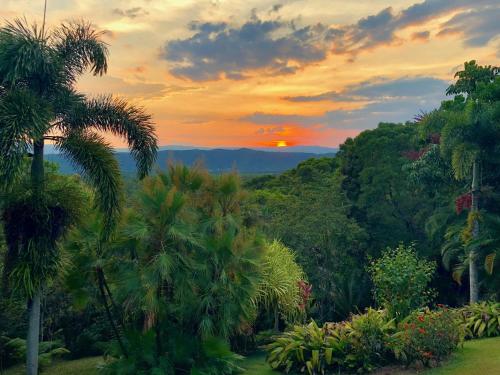 Daintree Manor B&B - Best Hotels in Queensland