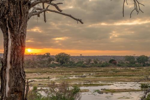 Foxy Crocodile Bush Lodge & Kruger Safari's - No Loadshedding