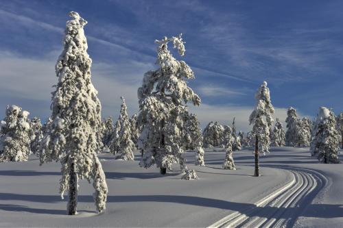 Tyrifjord Hotell - Best Parking Hotels in Norway
