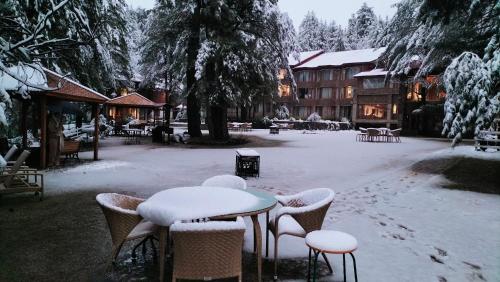 Welcomhotel by ITC Hotels, Pine N Peak, Pahalgam - Best Hotels with Free Breakfast in India