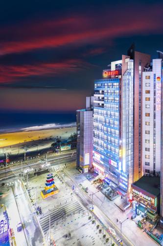 Sunset Hotel - Best Pet-Friendly Hotels in South Korea