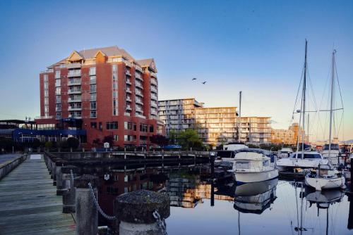 Coast Victoria Hotel & Marina by APA - Best Pet-Friendly Hotels in Victoria & Vancouver Island