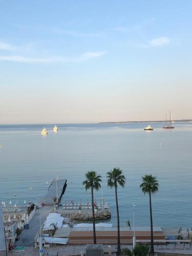 Hotel Courbet - Best Pet-Friendly Hotels in Antibes