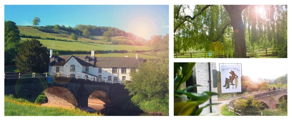 The Bell at Skenfrith - Best Hotels in Wales