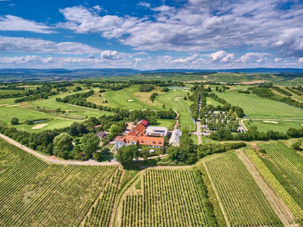 Hofgut Wißberg - Das Weinberghotel - Best Hotels in Rhineland-Palatinate