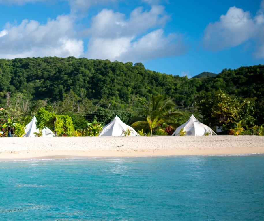 Wild Lotus Glamping - Best Hotels in Antigua
