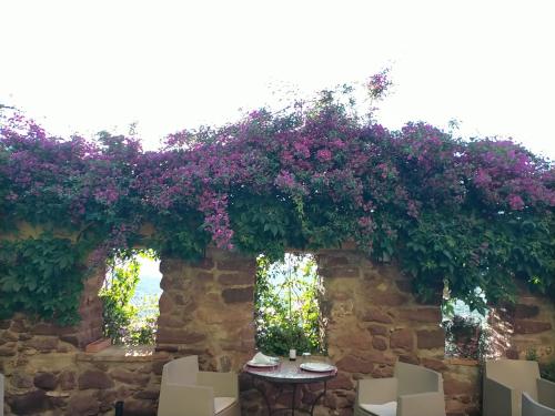 El Jardín Vertical - Best Hotels in the Valencia Region