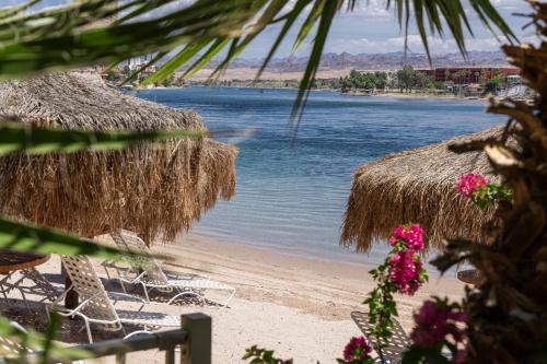 Harrah's Laughlin, A Caesars Destination - Best Hotels in Laughlin, NV